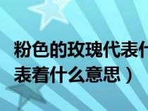 粉色的玫瑰代表什么意思啊（粉色的玫瑰花代表着什么意思）