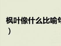 枫叶像什么比喻句二年级（枫叶像什么比喻句）