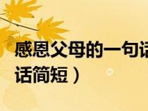 感恩父母的一句话简短一点（感恩父母的一句话简短）