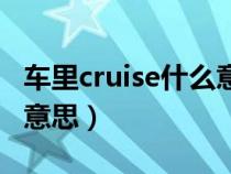 车里cruise什么意思（汽车上的cruise是什么意思）