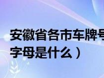 安徽省各市车牌号字母代号（安徽各市的车牌字母是什么）