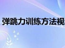 弹跳力训练方法视频教程（弹跳力训练方法）