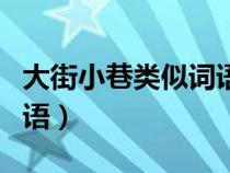 大街小巷类似词语还有哪些（大街小巷类似词语）