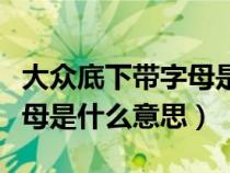 大众底下带字母是什么意思啊（大众底下带字母是什么意思）