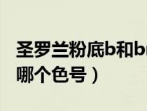 圣罗兰粉底b和br什么区别（圣罗兰芭比粉是哪个色号）