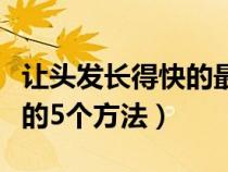 让头发长得快的最有效方法（能让头发长得快的5个方法）