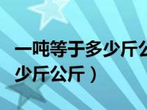 一吨等于多少斤公斤怎么换算的（一吨等于多少斤公斤）