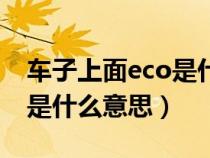 车子上面eco是什么意思图解（车子上面eco是什么意思）