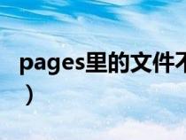 pages里的文件不见了（pages文件如何找回）