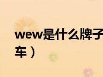 wew是什么牌子车多少钱（wev是什么牌的车）