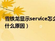 雪铁龙显示service怎么消除（雪铁龙故障灯service亮起是什么原因）