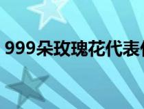 999朵玫瑰花代表什么（19朵玫瑰花的含义）