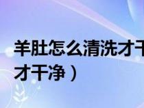 羊肚怎么清洗才干净视频教程（羊肚怎么清洗才干净）