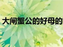 大闸蟹公的好母的好（大闸蟹公母哪种好吃）