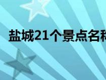 盐城21个景点名称（盐城景区景点有哪些）