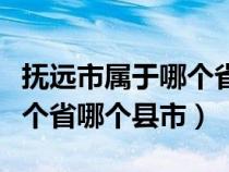 抚远市属于哪个省哪个县市管（抚远市属于哪个省哪个县市）