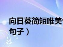 向日葵简短唯美句子50字（向日葵简短唯美句子）