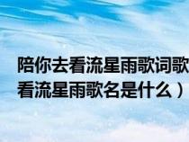 陪你去看流星雨歌词歌词是什么意思（有一句歌词是陪你去看流星雨歌名是什么）