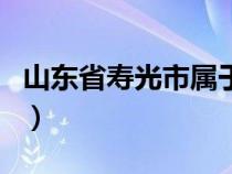 山东省寿光市属于哪个市（寿光市属于哪个市）