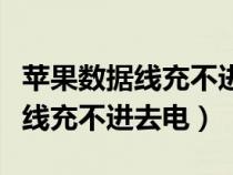 苹果数据线充不进去电是因为什么（苹果数据线充不进去电）