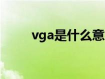 vga是什么意思图片（vga是什么）