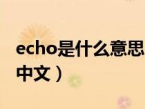 echo是什么意思中文三毛（echo是什么意思中文）