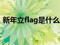 新年立flag是什么意思（立flag是什么意思）