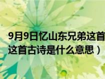 9月9日忆山东兄弟这首诗的诗意是什么（9月9日忆山东兄弟这首古诗是什么意思）