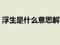 浮生是什么意思解释一下（浮生是什么意思）