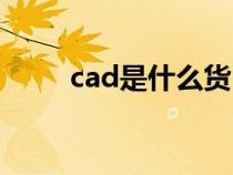 cad是什么货币（usd是什么货币）