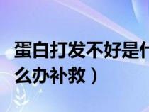 蛋白打发不好是什么原因（蛋白打发不起来怎么办补救）