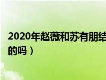 2020年赵薇和苏有朋结婚是真的吗（赵薇和苏有朋结婚是真的吗）