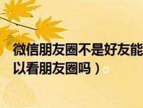 微信朋友圈不是好友能看到动态吗（微信朋友圈不是好友可以看朋友圈吗）