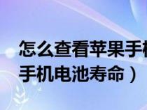 怎么查看苹果手机电池寿命?（怎么查询苹果手机电池寿命）