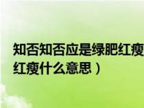 知否知否应是绿肥红瘦什么意思李清照（知否知否应是绿肥红瘦什么意思）