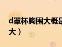 d罩杯胸围大概是多少斤（d罩杯胸围一般多大）