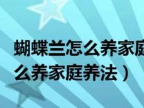 蝴蝶兰怎么养家庭养法和注意事情（蝴蝶兰怎么养家庭养法）