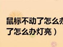 鼠标不动了怎么办灯亮重启就好了（鼠标不动了怎么办灯亮）