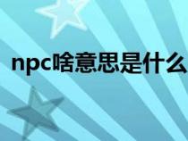 npc啥意思是什么（网络语npc是什么意思）