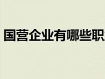 国营企业有哪些职业类型（国营企业有哪些）