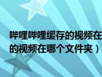 哔哩哔哩缓存的视频在哪个文件夹小米手机（哔哩哔哩缓存的视频在哪个文件夹）