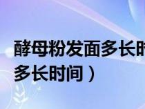 酵母粉发面多长时间可以做馒头（酵母粉发面多长时间）