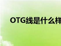 OTG线是什么样子图片（otg线是什么）