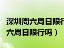 深圳周六周日限行吗外地车牌限行吗（深圳周六周日限行吗）