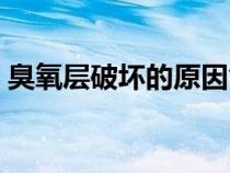 臭氧层破坏的原因气体（臭氧层破坏的原因）