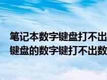 笔记本数字键盘打不出数字可能是什么原因（为什么笔记本键盘的数字键打不出数字来）