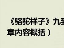 《骆驼祥子》九到十章概括（骆驼祥子9到10章内容概括）