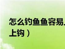 怎么钓鱼鱼容易上钩 视频（怎么钓鱼鱼容易上钩）