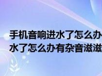 手机音响进水了怎么办有杂音滋滋的要关机嘛（手机音响进水了怎么办有杂音滋滋的）