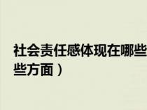 社会责任感体现在哪些方面英语翻译（社会责任感体现在哪些方面）